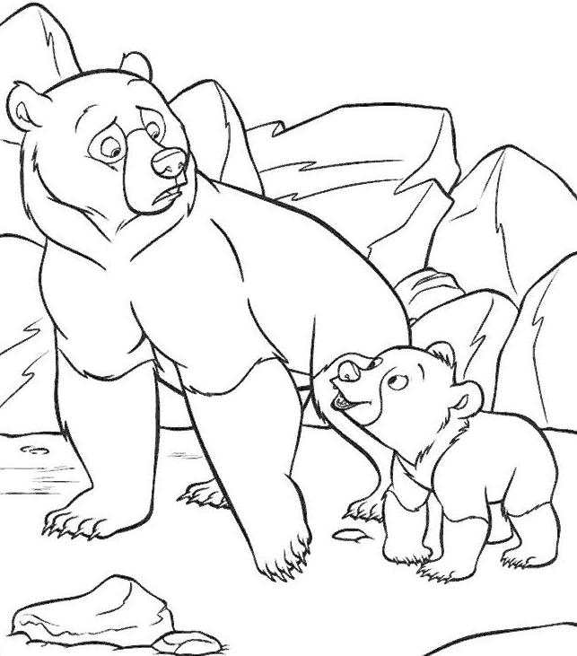 coloriage freres des ours se parlent